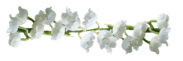 bonheur